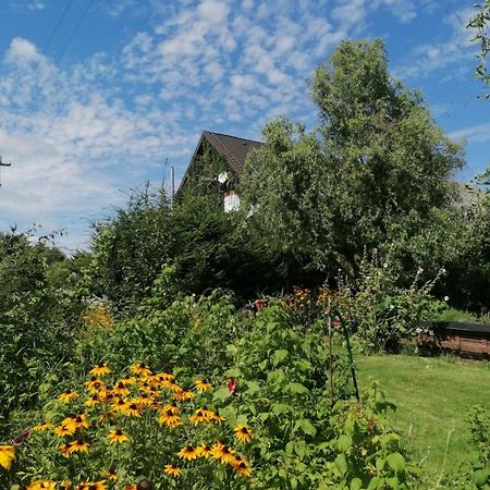 Ferienwohnung Dziewanna Brzeziniec Exterior foto