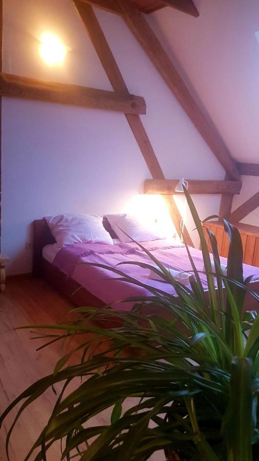 Ferienwohnung Dziewanna Brzeziniec Exterior foto